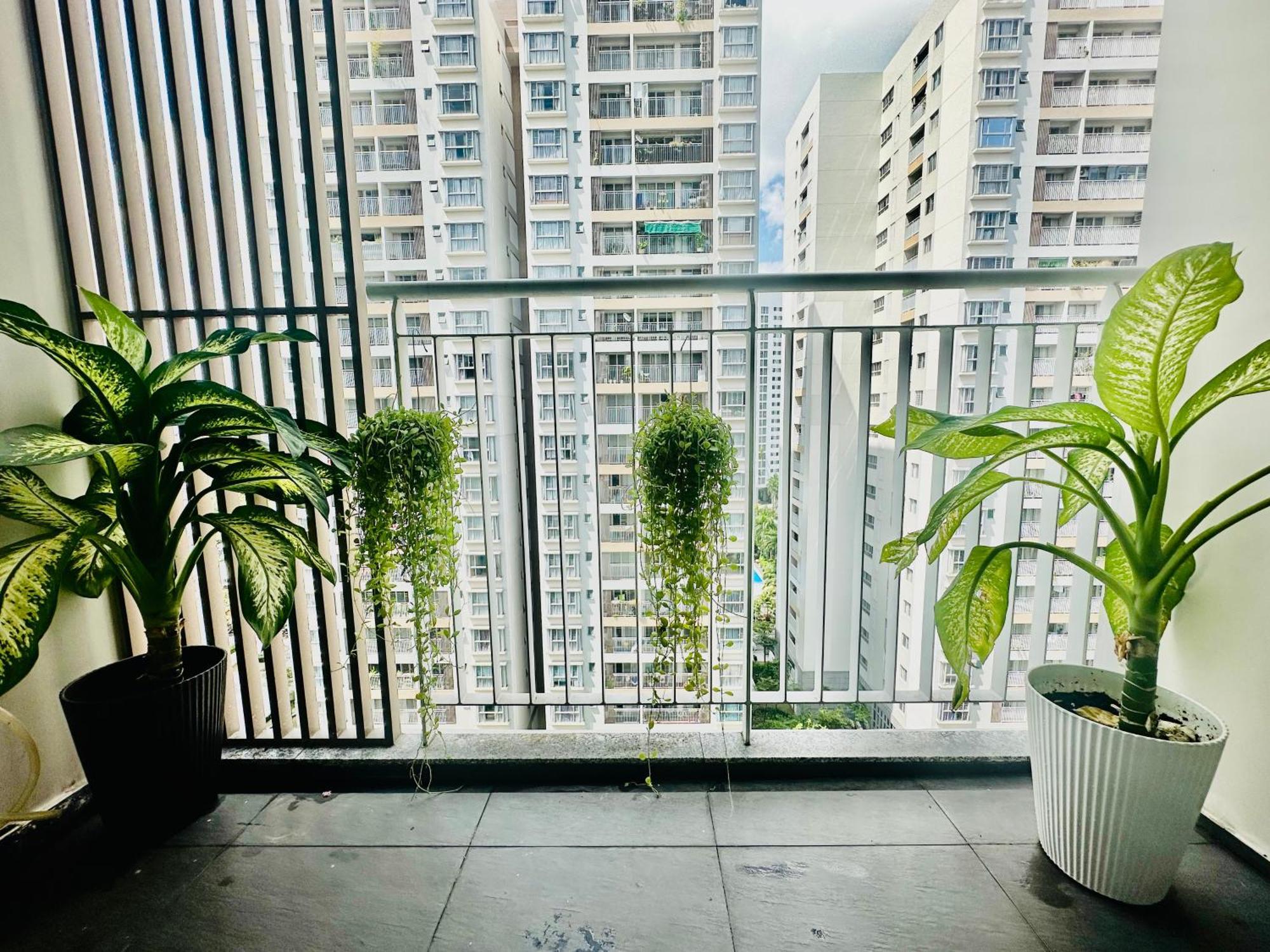 Scenic Valley Suite Ho Chi Minh-byen Eksteriør bilde